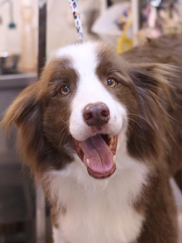 20230719ソイくん